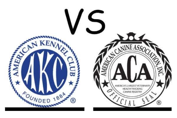 Akc-vs-aca-dog-Registry-.jpg
