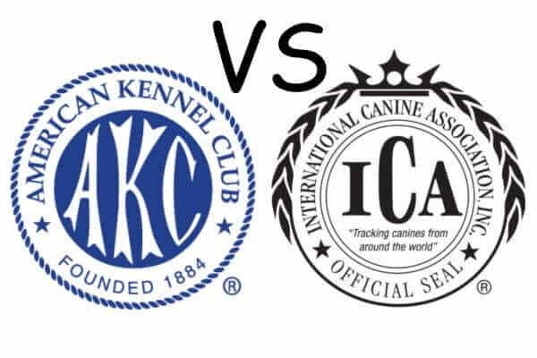 Akc-vs-ica.jpg
