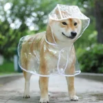 Transparent Raincoat For Dogs