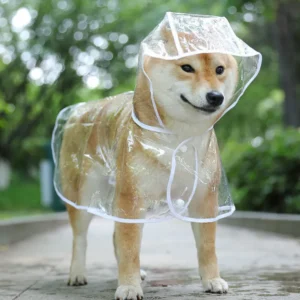 Transparent Raincoat For Dogs