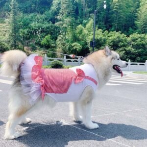 Pretty White & Pink/Yellow Dress for Big Dogs
