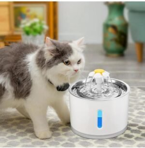 Automatic Water Fountain for Cats