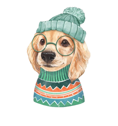 buy dog and cat clothes costumes