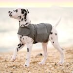 Warm Anxiety Relief Winter Jacket for Dogs