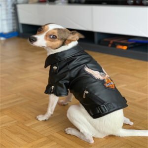 Dog Embroidered Eagle Leather Jacket
