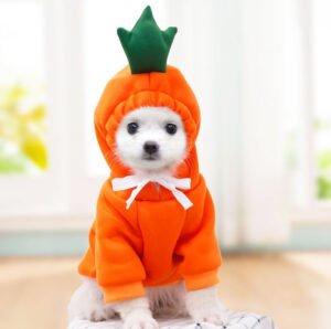 Cute Fruit Warm Dog Hoodies