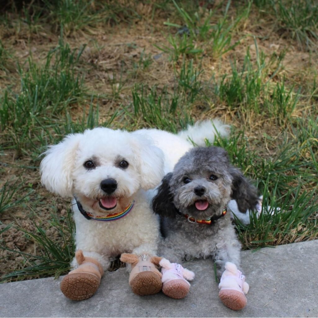 Winter Anti-slip, Salt-Proof Shoes For Small For Dogs