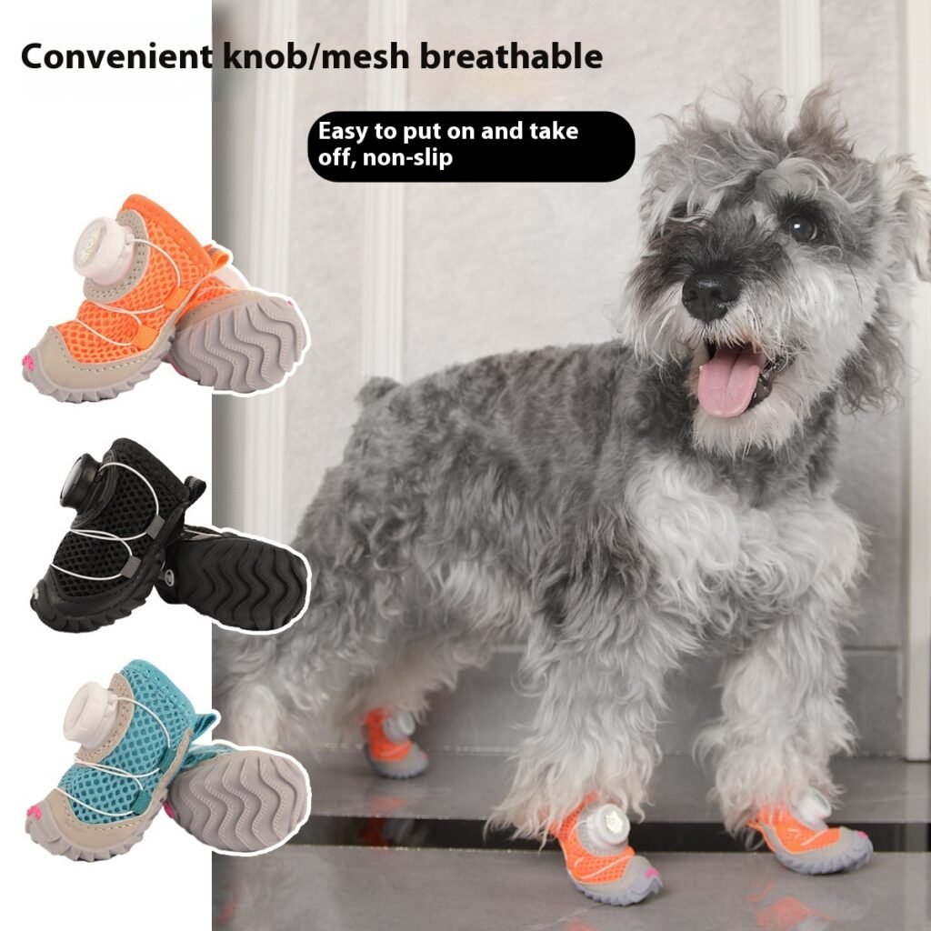 Soft Bottom With Salt-Protection for Small Dogs