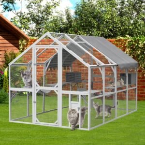 Outdoor Cat Room Cat Play Fence With Platform